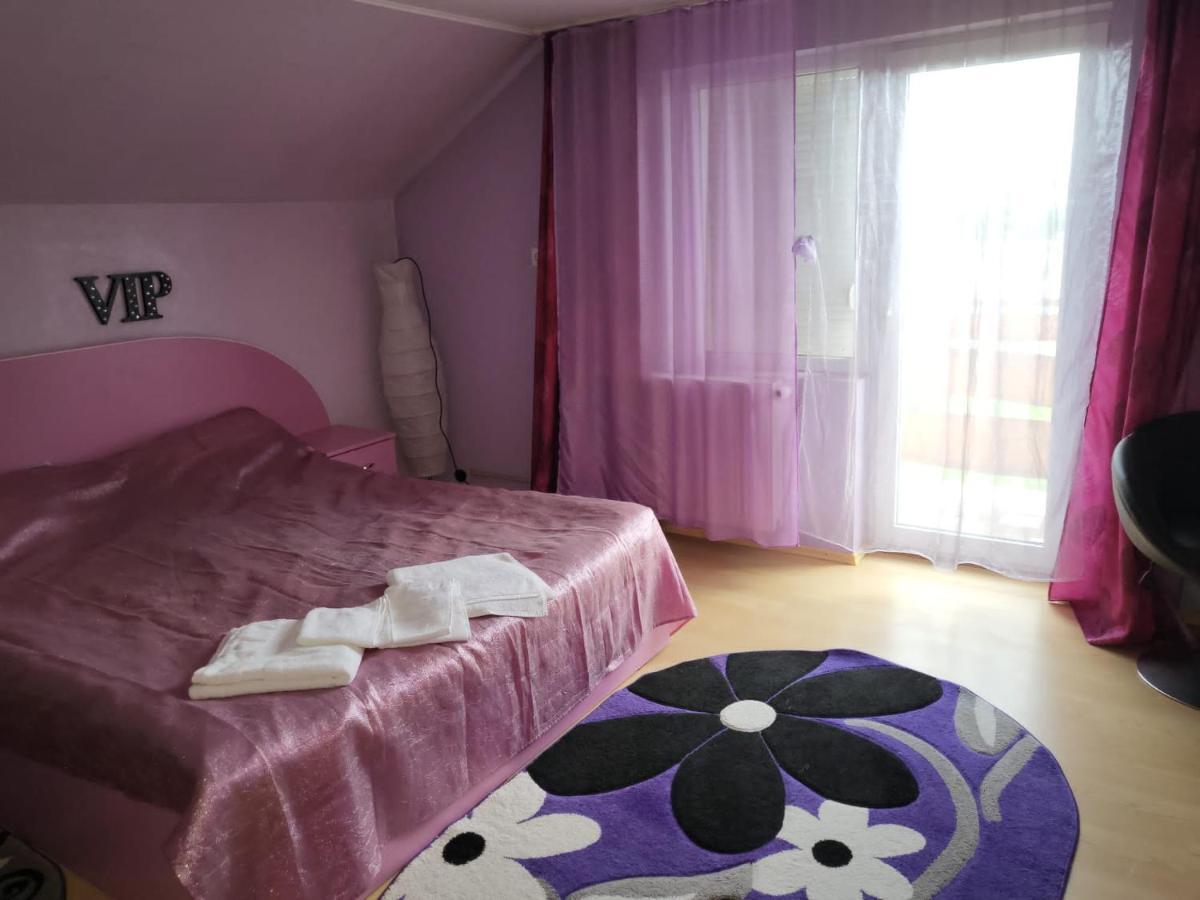 Vila Ana Cu Terasa Gratar Si Jacuzzi Villa Satu Mare Exterior foto