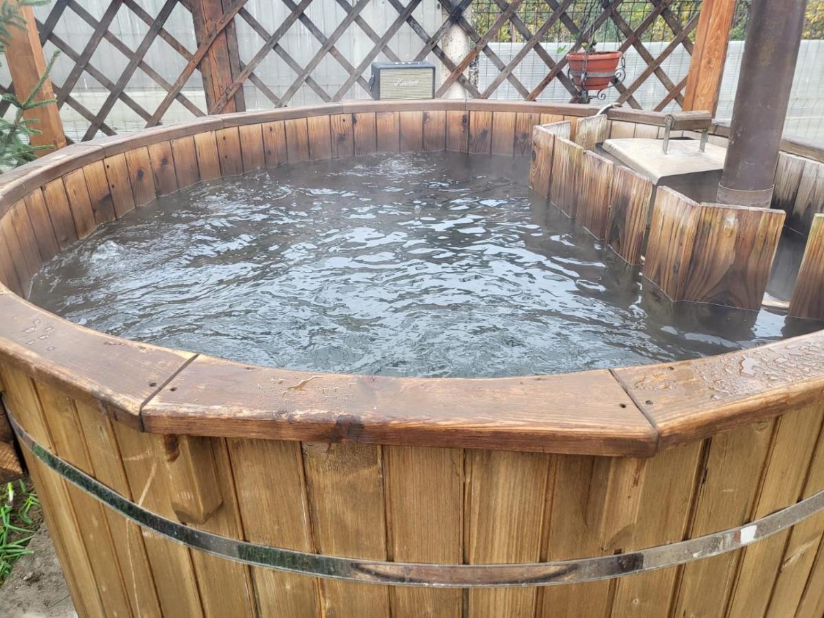 Vila Ana Cu Terasa Gratar Si Jacuzzi Villa Satu Mare Exterior foto
