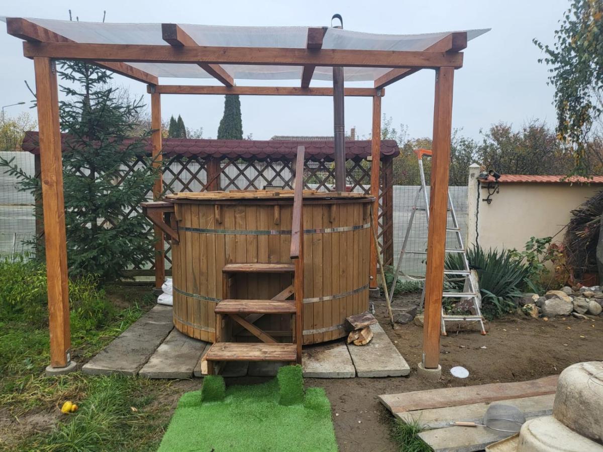 Vila Ana Cu Terasa Gratar Si Jacuzzi Villa Satu Mare Exterior foto