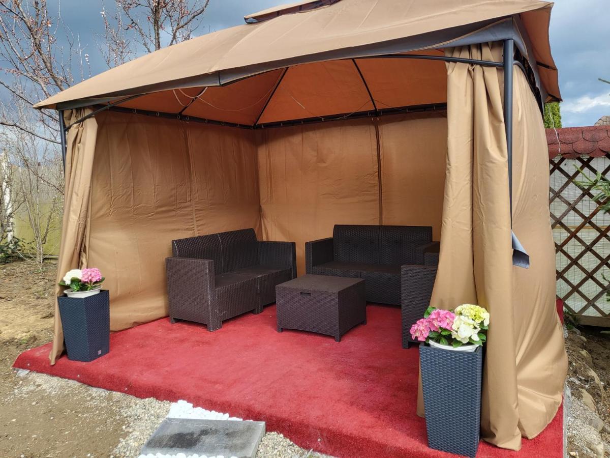 Vila Ana Cu Terasa Gratar Si Jacuzzi Villa Satu Mare Exterior foto
